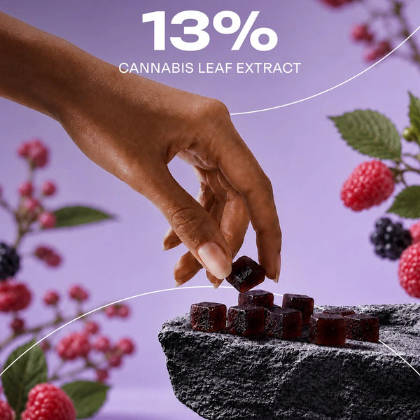 The Trost Kosha Gummies (Mriduvati) - Berry Blast Flavor - 13% Extract