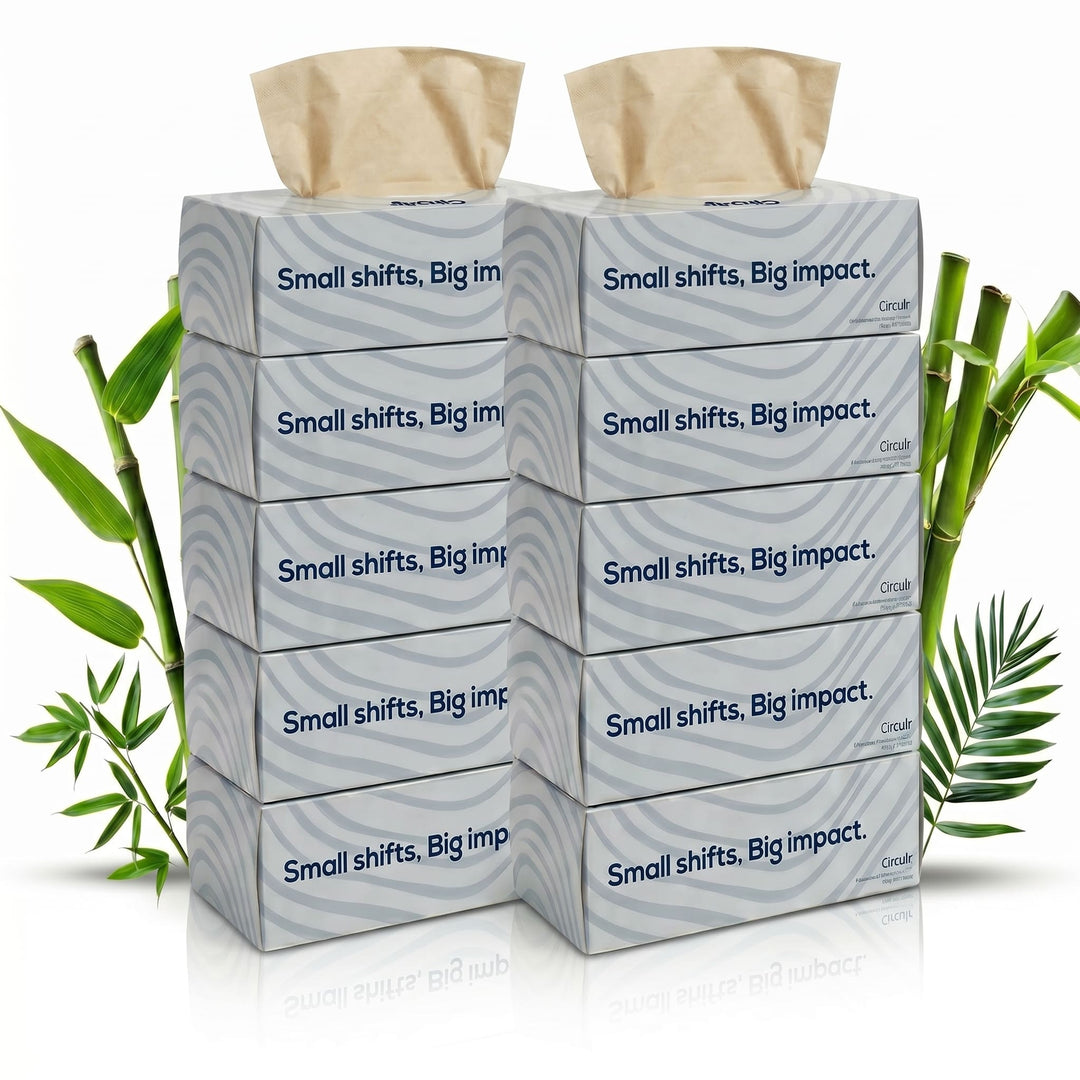 Bamboo Facial Tissues Blue (2 Ply | 100 Pulls) Pack of 10