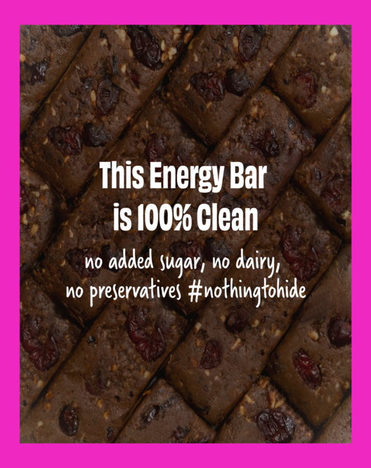Sugar Free Vegan Energy Bars - Cocoa Cranberry Fudge | Pack of 6 (40g each)
