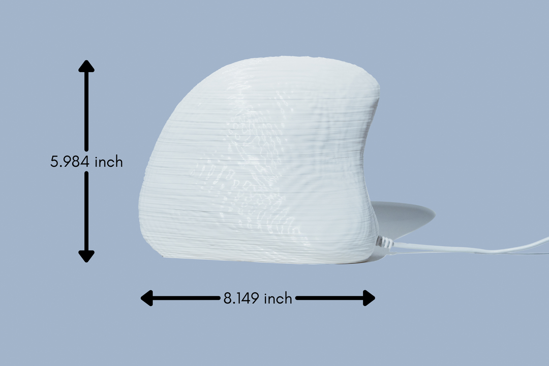 Albino Clam Table Lamp | Designer LED Table Light
