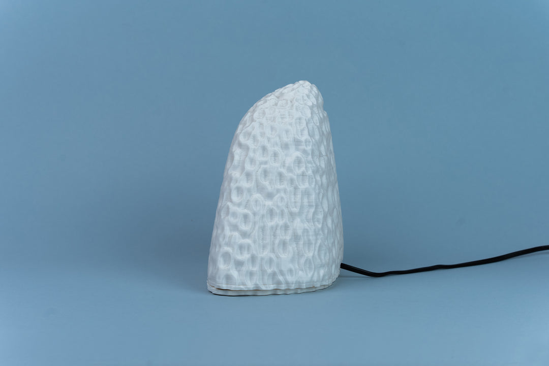 Coral Alive Table Lamp | Designer LED Table Light