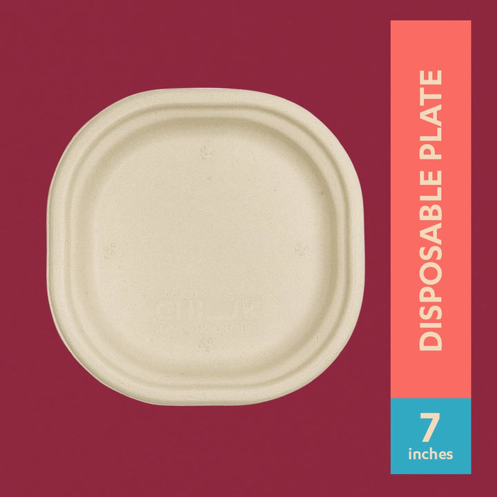 Chuk Chowpatty 7" (18 cm) Sugarcane Bagasse Disposable Plate - Pack of 2