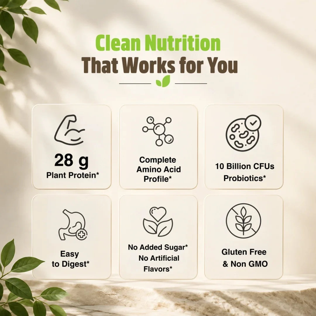 Organic Plant Based Protein Powder Chocolate