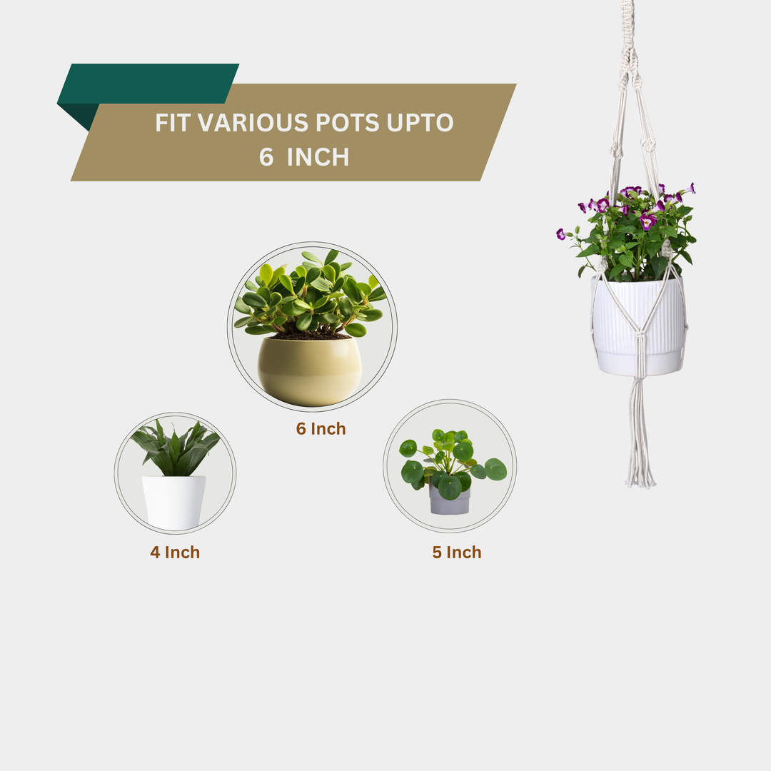 OIKO Macrame Cotton Plant Hanger Stylish Boho Hanging Planter for Home & Garden Pack of 2