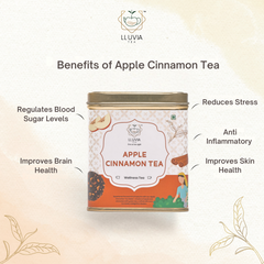 Lluvia Tea Apple Cinnamon Tea - Antioxidant Boost | Digestive Support | Blood Sugar Regulation (50 gm)