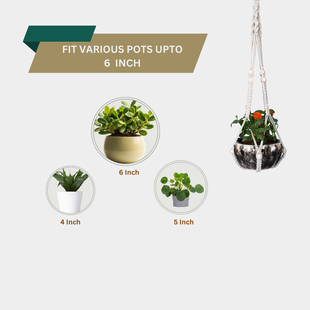 OIKO Macrame Cotton Plant Hanger with Wooden Beads | Stylish Indoor Decor