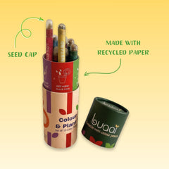 Plantable Seed Coloured Pencils (Set of 10)