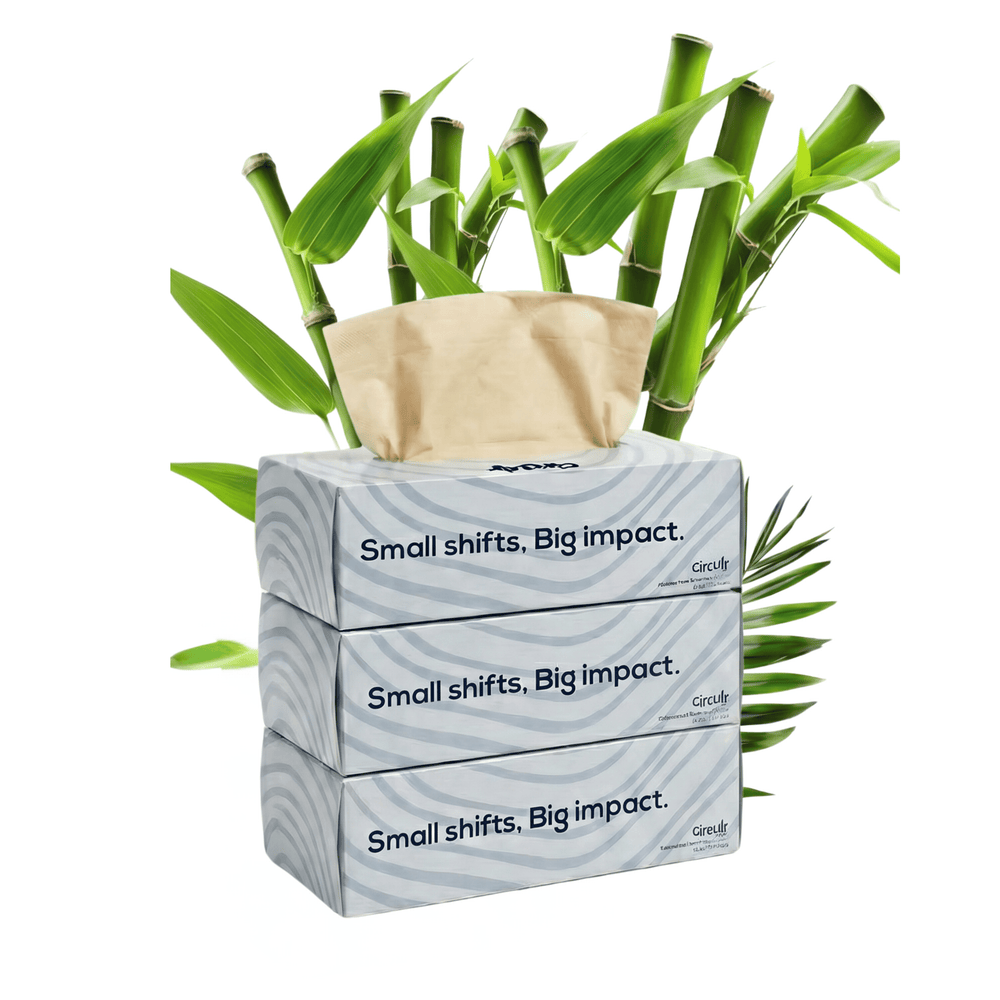 Bamboo Facial Tissues Blue (2 Ply | 100 Pulls) Pack of 3