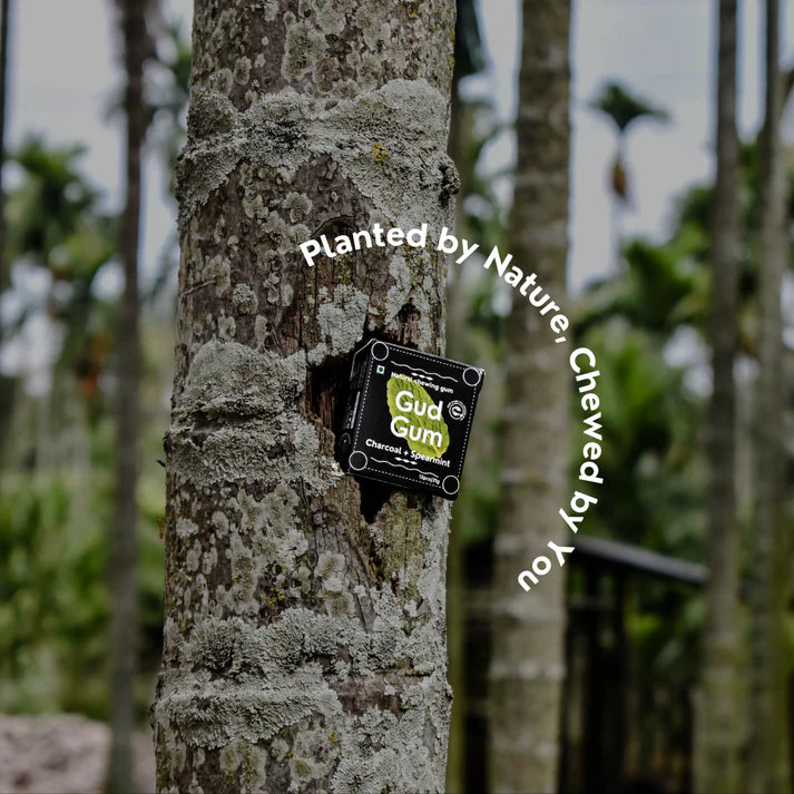 Gud Gum Charcoal Mint Chewing Gum- Pack of 4