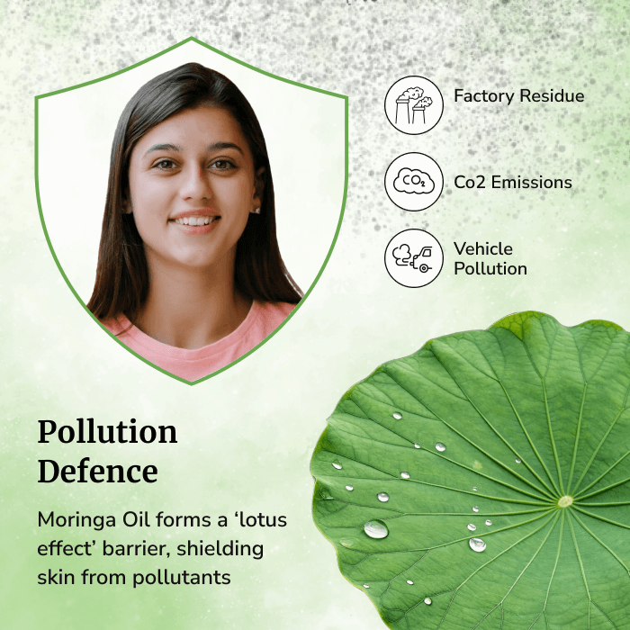 Moringa seeds cold pressed oil