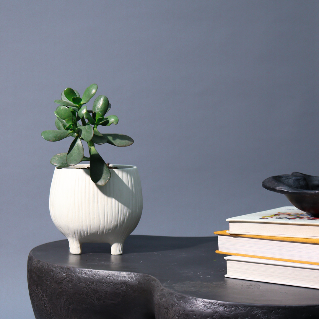 Muun Home Aden Organic Planter