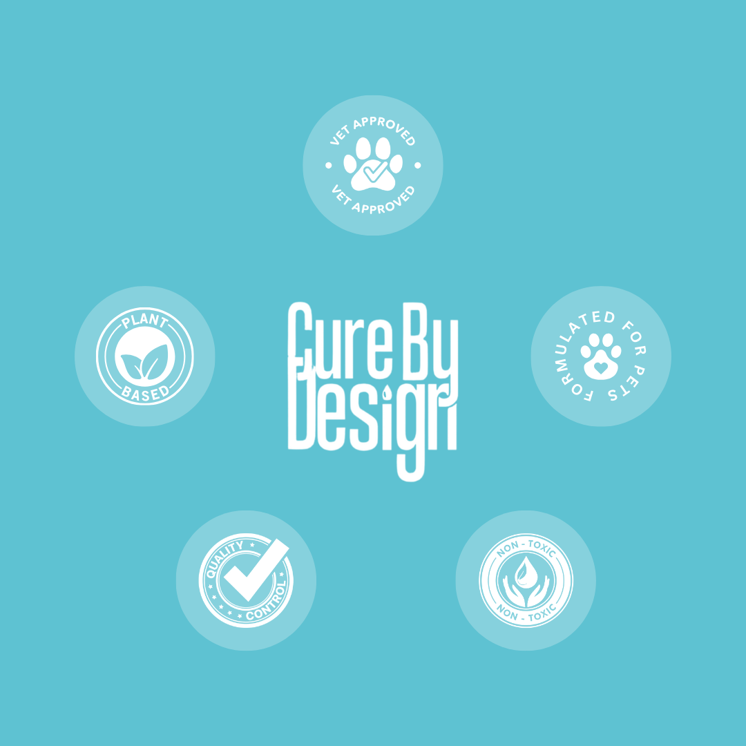 Best Dogs Pain Relief Product .png