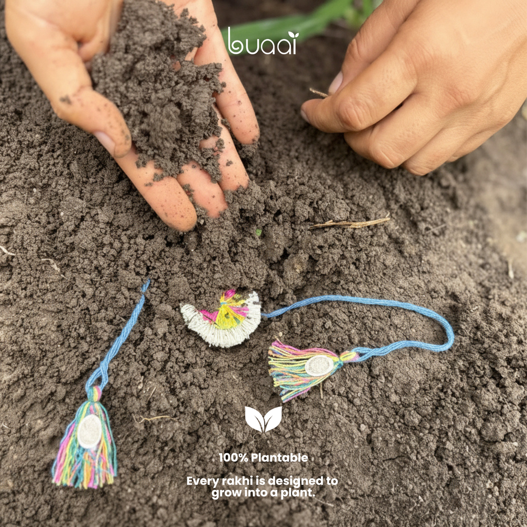 Dragonfly Plantable Rakhi Grow Kit