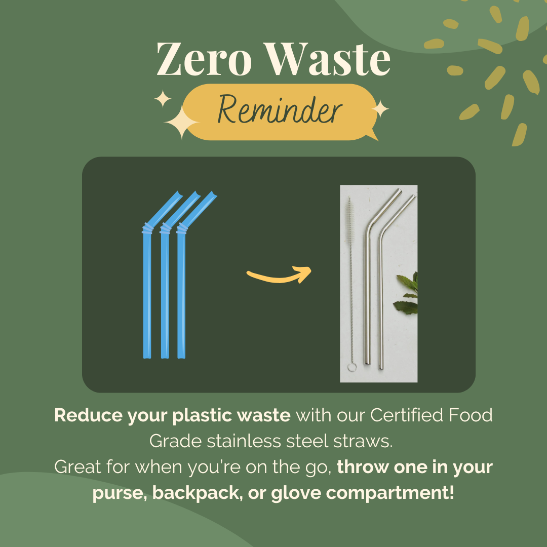 Bare Necessities Family Straw Kit [4 reusable straws]