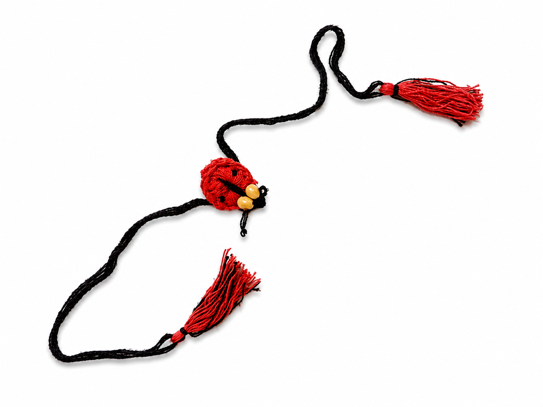 Ladybug Plantable Rakhi Grow Kit