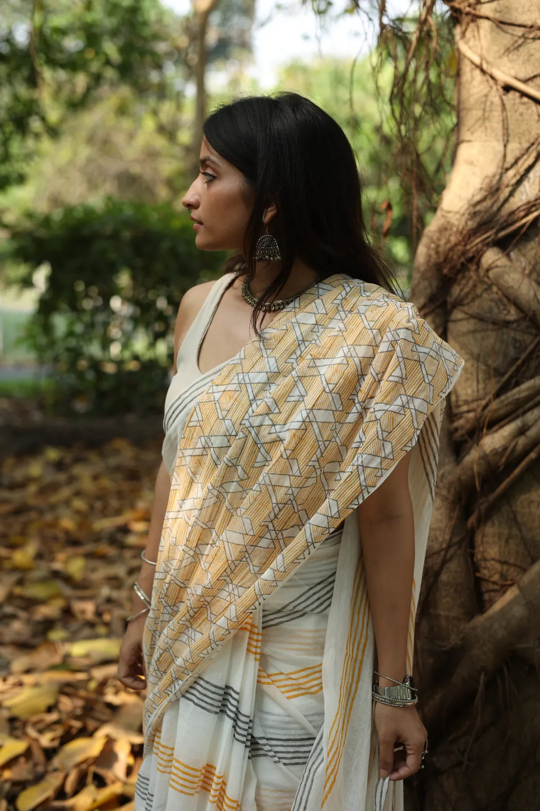 Kaleidoscope Charm Handloom Organic Cotton Saree