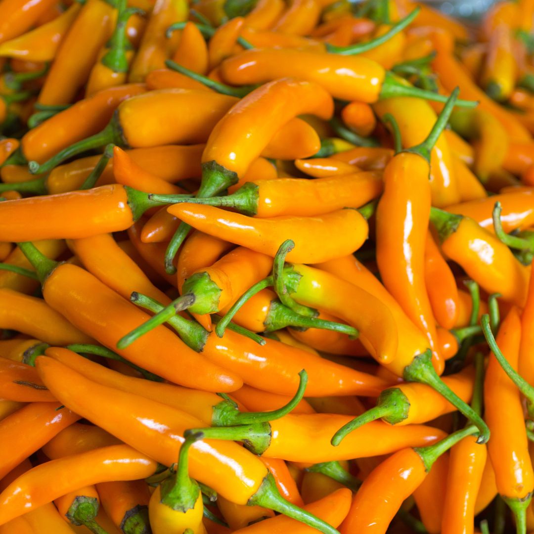 The MMasala Box Co Yellow Chili Powder