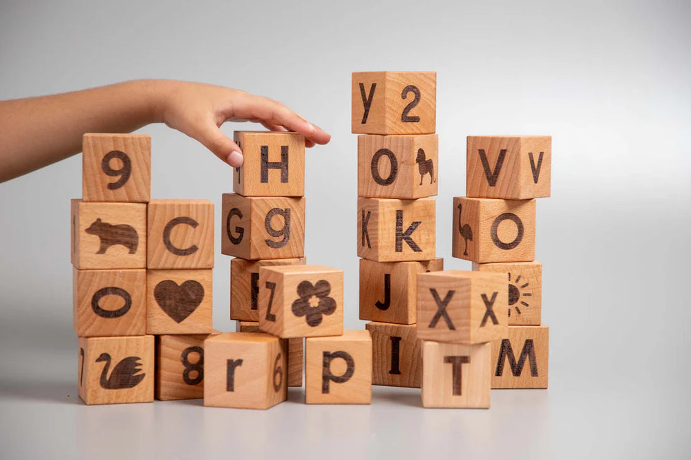BIRCH & BUG Learning Blocks Set of 26