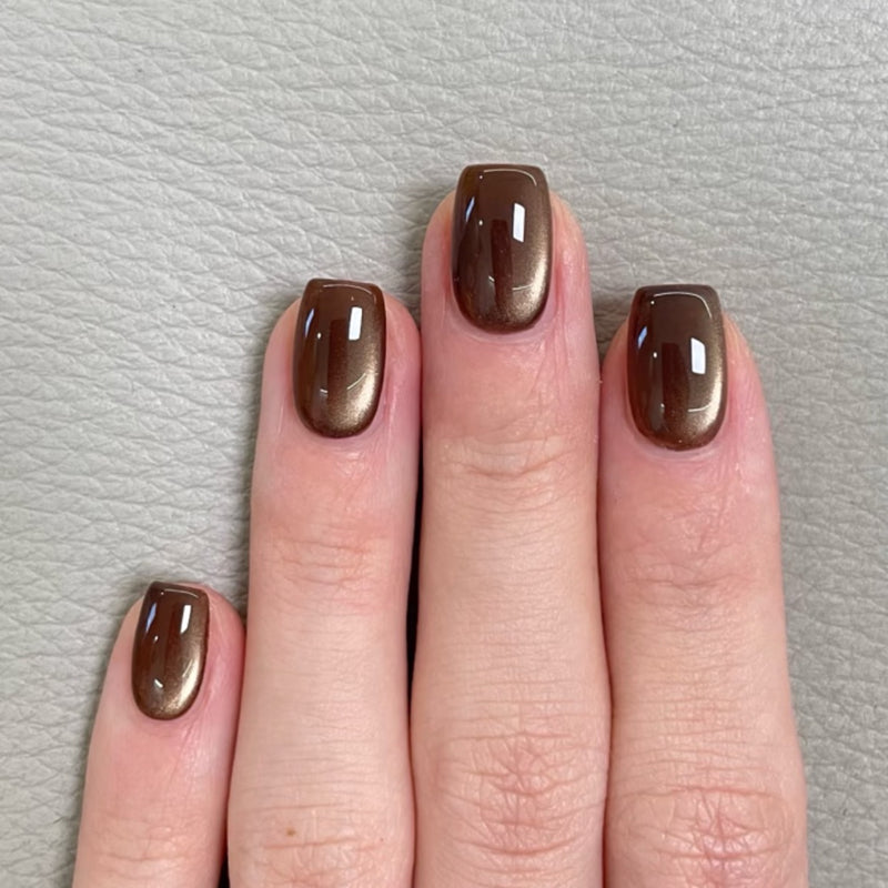 Bear With Me | Short Square, Press On Nails