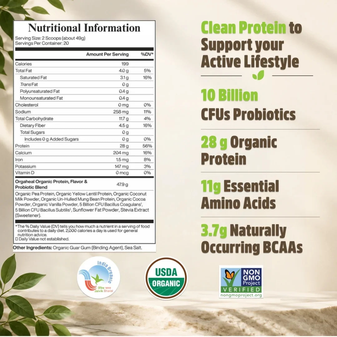 Organic Plant Based Protein Powder Chocolate