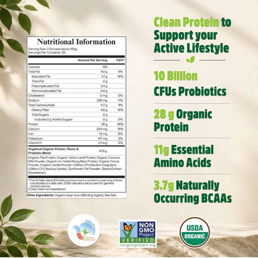 Organic Plant Based Protein Powder Vanilla