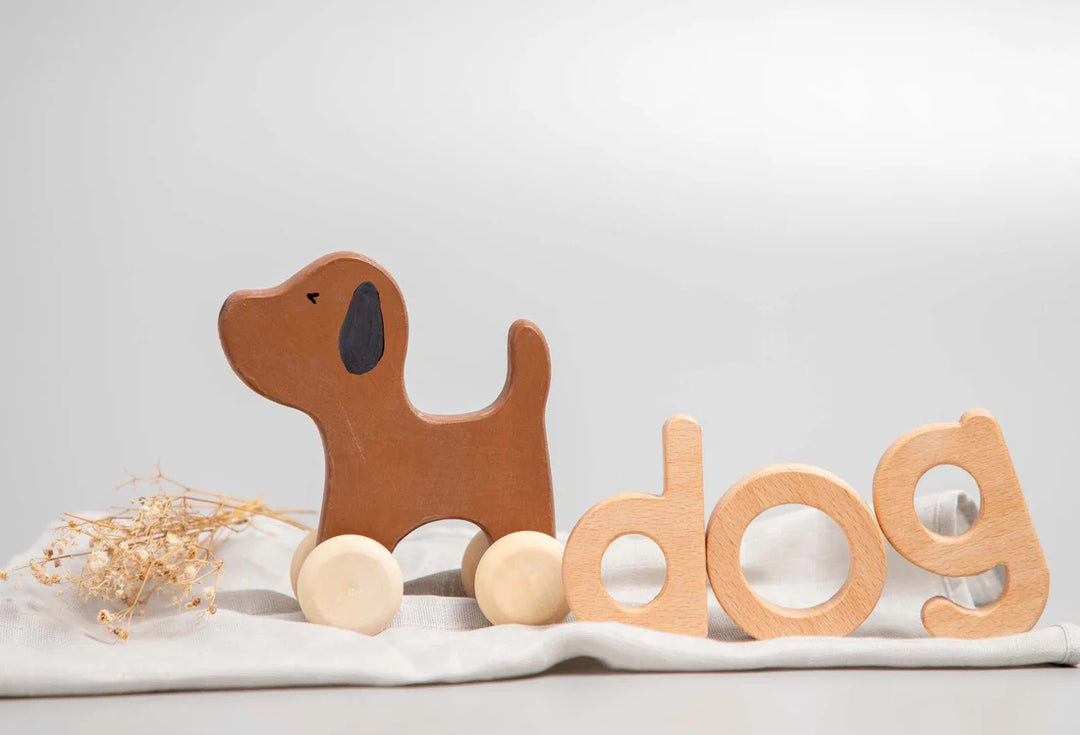 BIRCH & BUG Dog Roller Toy