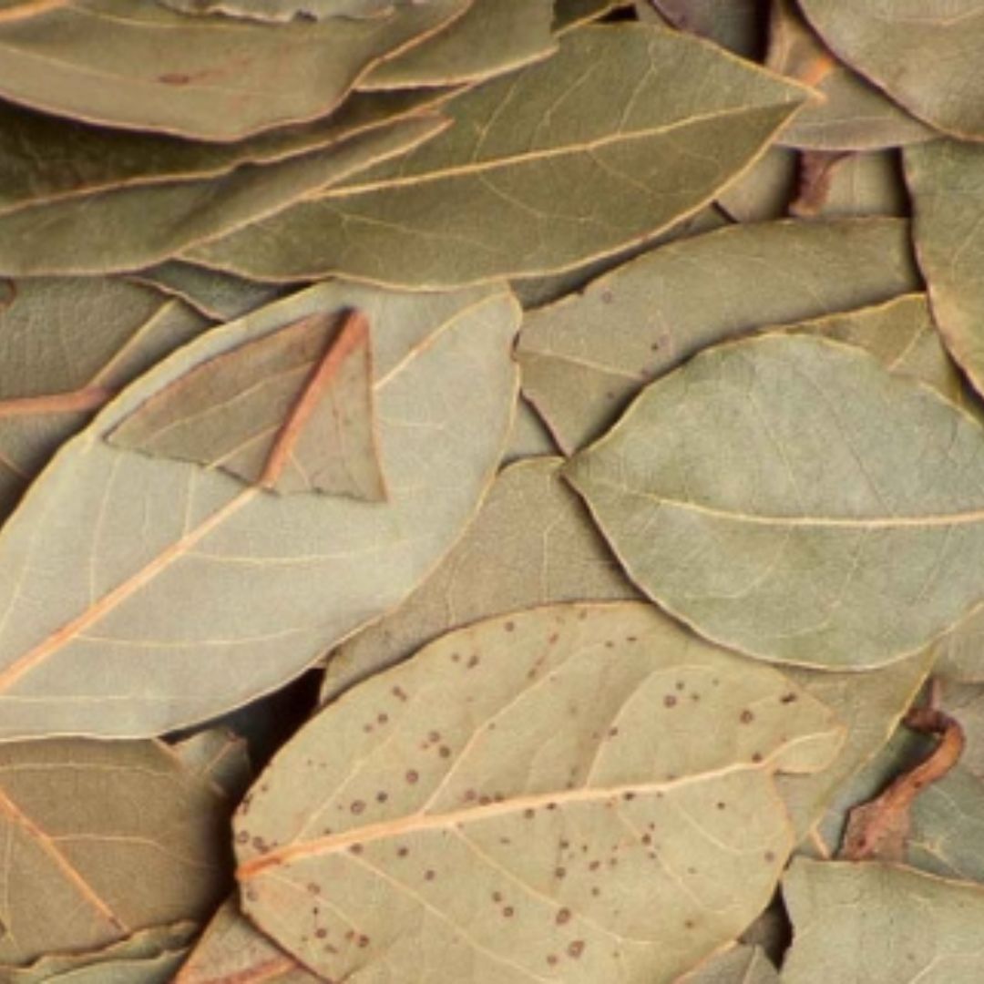 The MMasala Box Co Bay Leaf