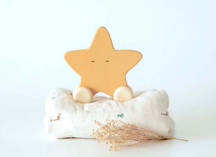 BIRCH & BUG Star Roller Toy