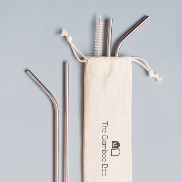 Steel Straws | Reusable Straws 2 Bent + 2 Straight + 1 Cleaner + 1 Pouch | Eco friendly Straws