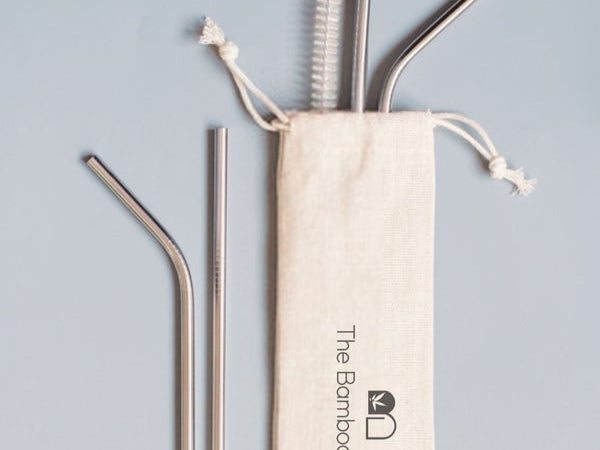 Steel Straws | Reusable Straws 2 Bent + 2 Straight + 1 Cleaner + 1 Pouch | Eco friendly Straws