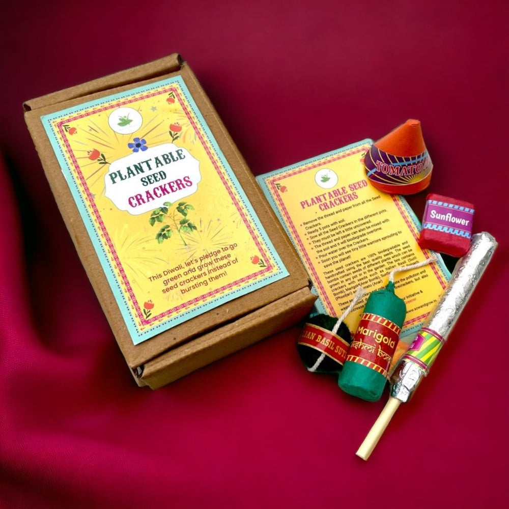 Sow and Grow Plantable Seed Crackers | Set of 5 Diwali Themed Seed Bombs | Beej Pataka | Diwali Seed Balls