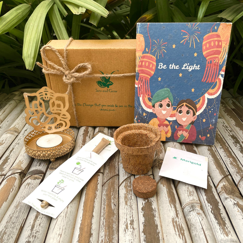 Sow and Grow Eco-friendly Assorted Hamper