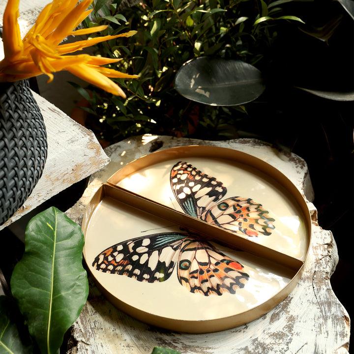 Goomti Symphony Wings - The Butterfly Tray