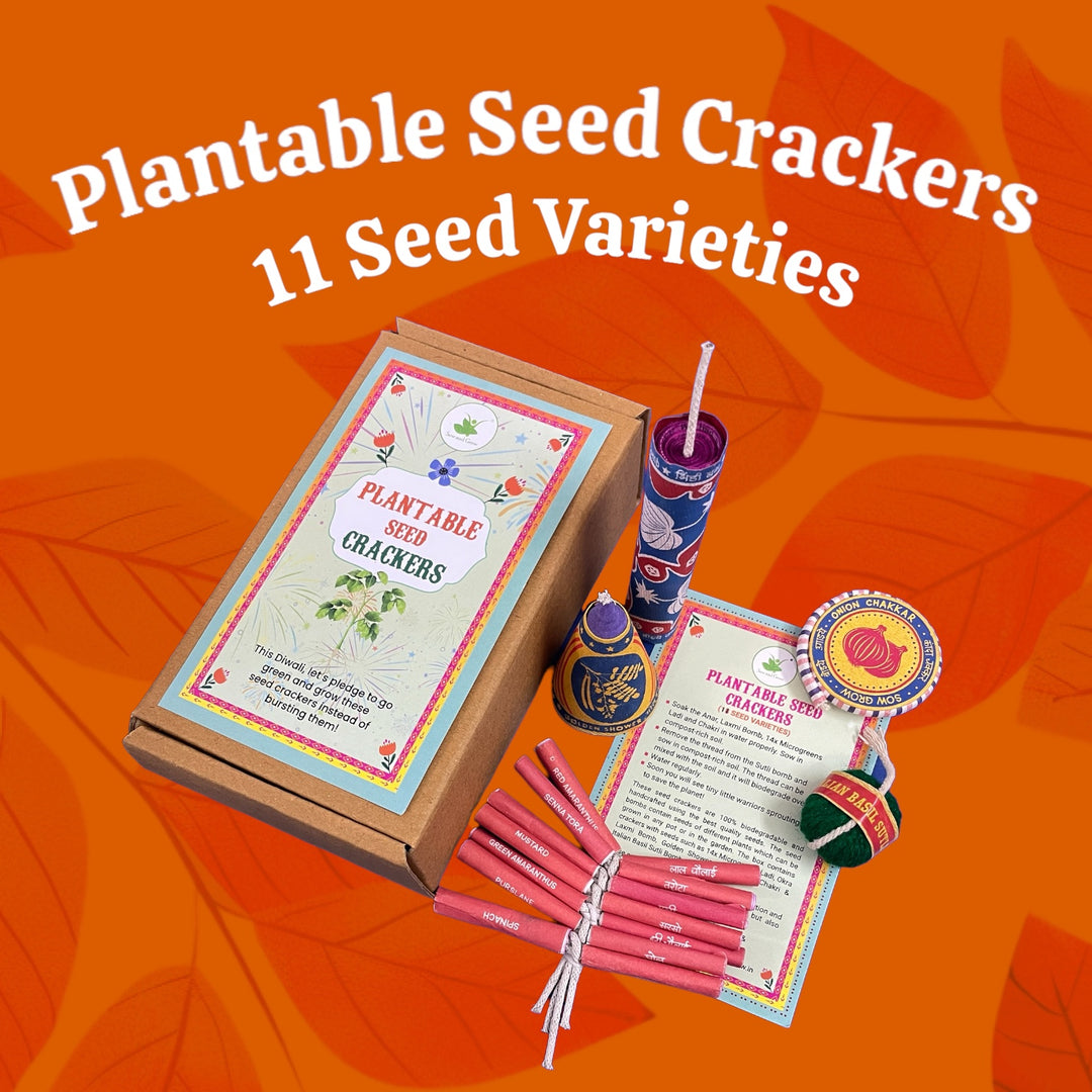 Sow and Grow DIWALI SPECIAL: Plantable Seed Crackers: Set of 5 with 11 varieties of seeds