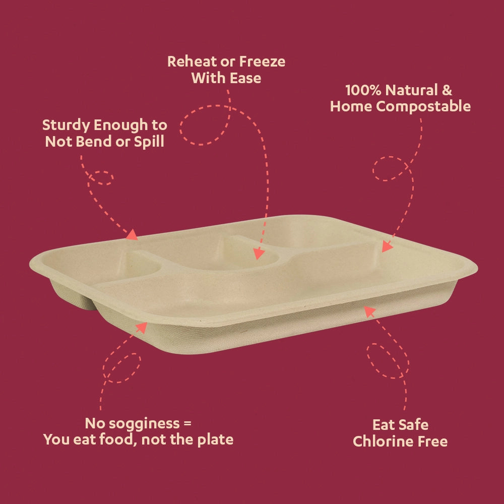 Chuk Chauka 4CP Sugarcane Bagasse Disposable Meal Plate - Pack of 2