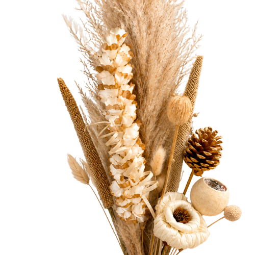 Douceur d’Ivoire – Neutral Pampas Arrangement