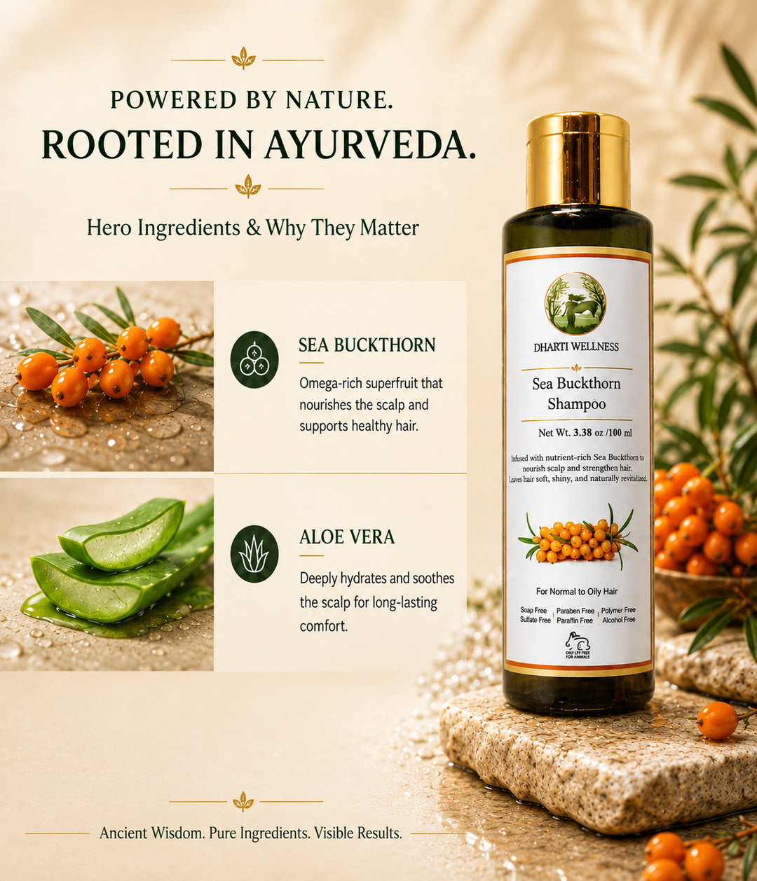 Sea Buckthorn Shampoo | Improves Scalp health | De-Tangle | Conditioning | Sulphate Free | Paraben - Free