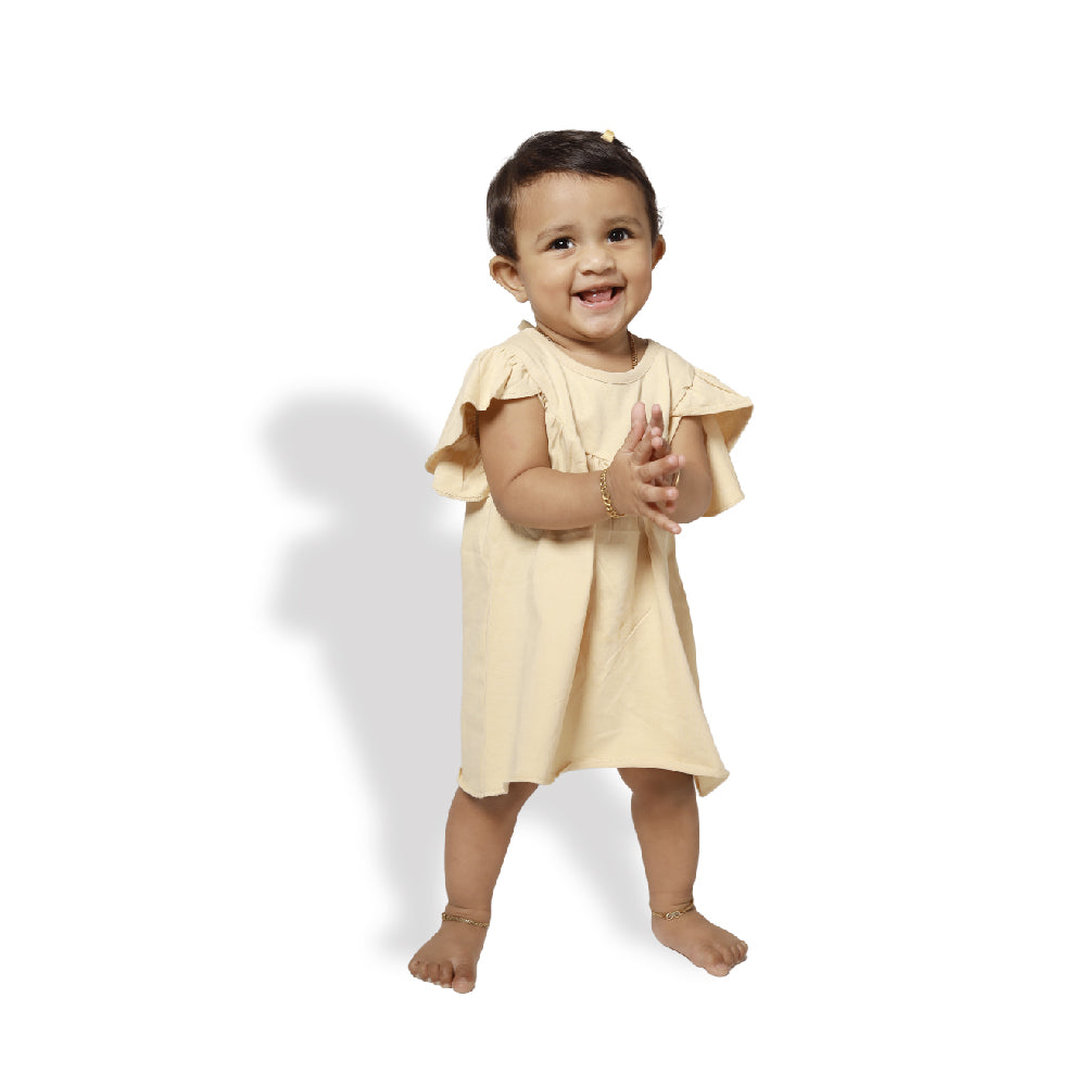 BabbleTym A-Line Frock With Butterfly Sleeves