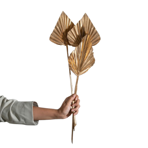 Palme d’Ivoire – Natural Dried Palm Spears