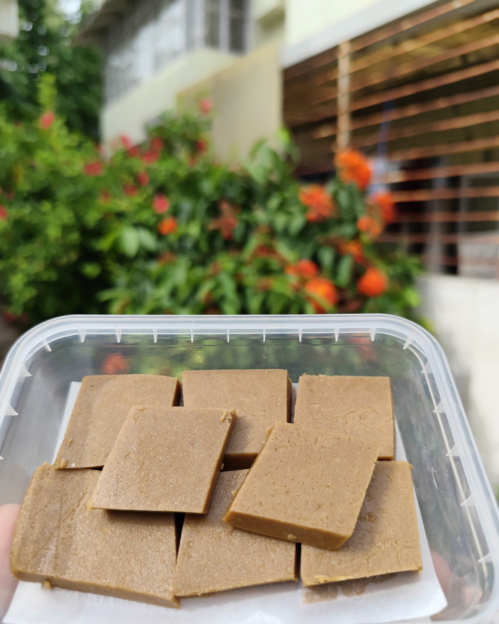 Buy Zugar – Sugar-Free Chocolates, Spreads & Treats Online - Suspire