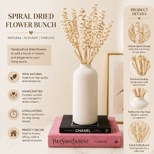 Spirale Naturelle – Decorative Dried Floral Stems