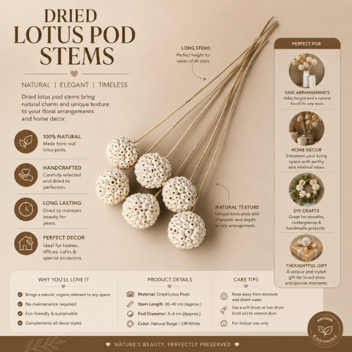 Natural Dried Flower Atta Balls for Vase Filler