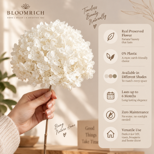 Blanc Eternel – White Hydrangea Dried Flower Bouquet