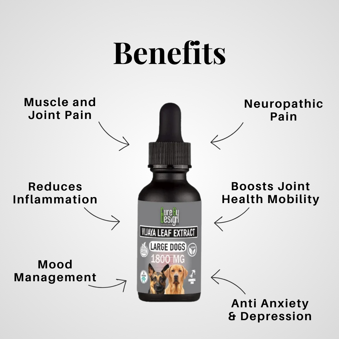 CBD Product for pets.png