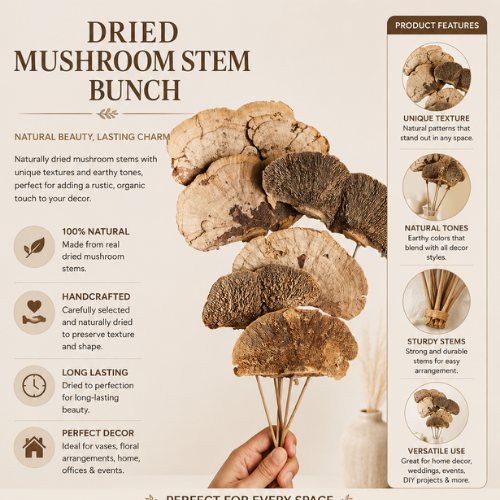 Tresor des Bois – Golden Sponge Mushroom Stems