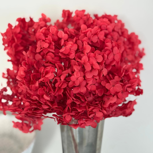 Rouge Eternel – Red Hydrangea Dried Flower Bouquet