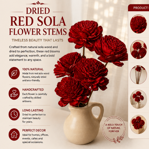 Rosette Naturelle – Cabbage Sola Wood Flowers