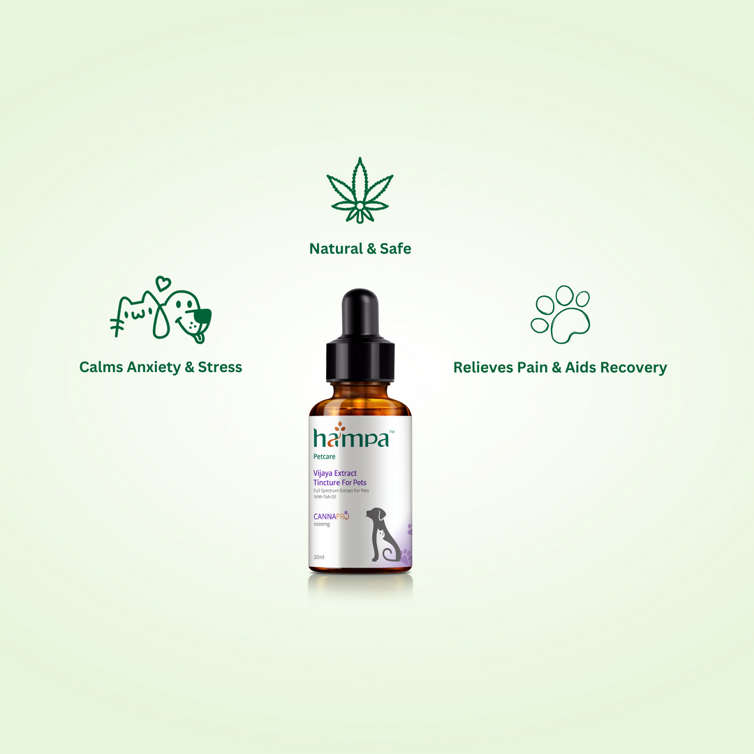 Vijaya Extract Tincture for Pets- 30ml