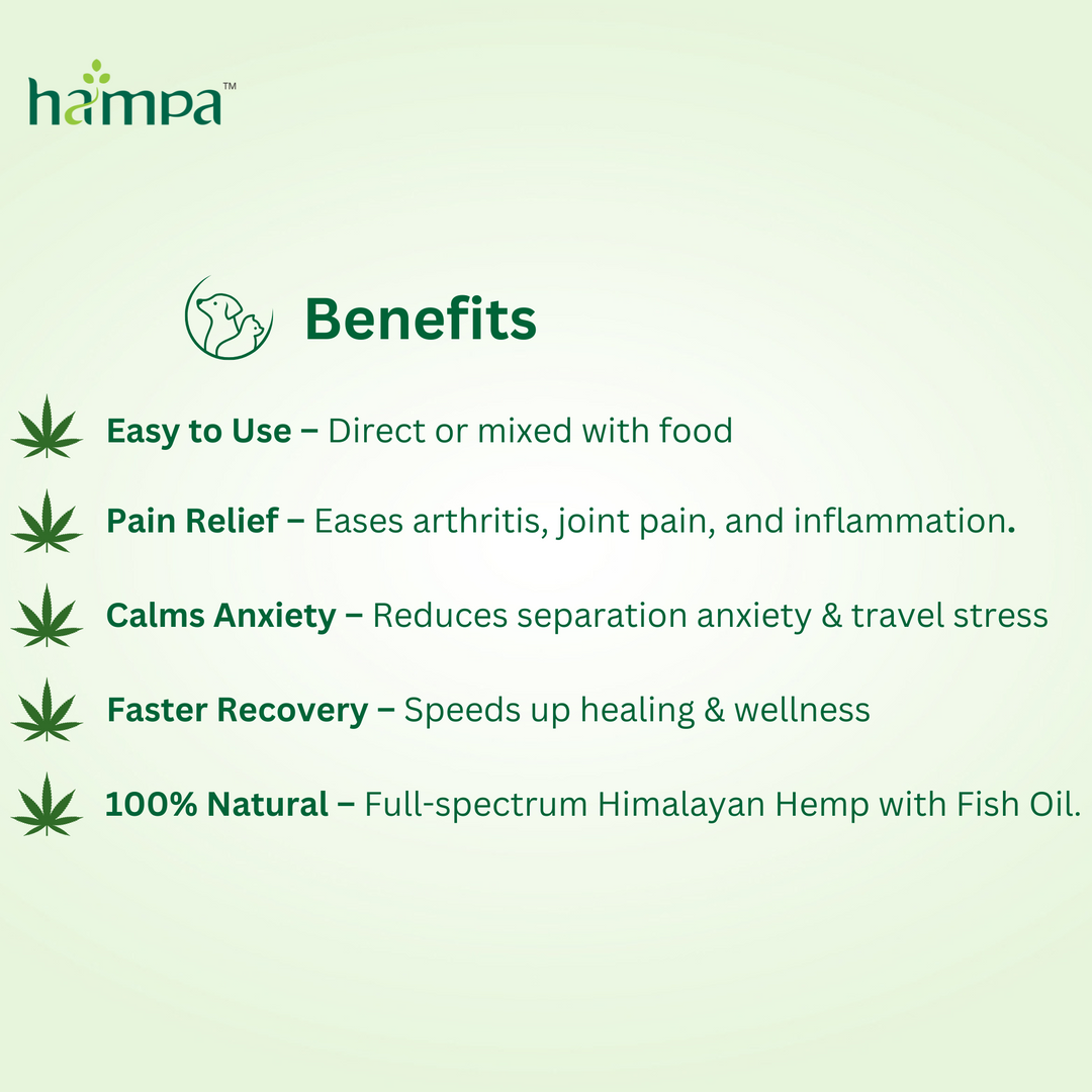 Vijaya Extract Tincture for Pets- 30ml