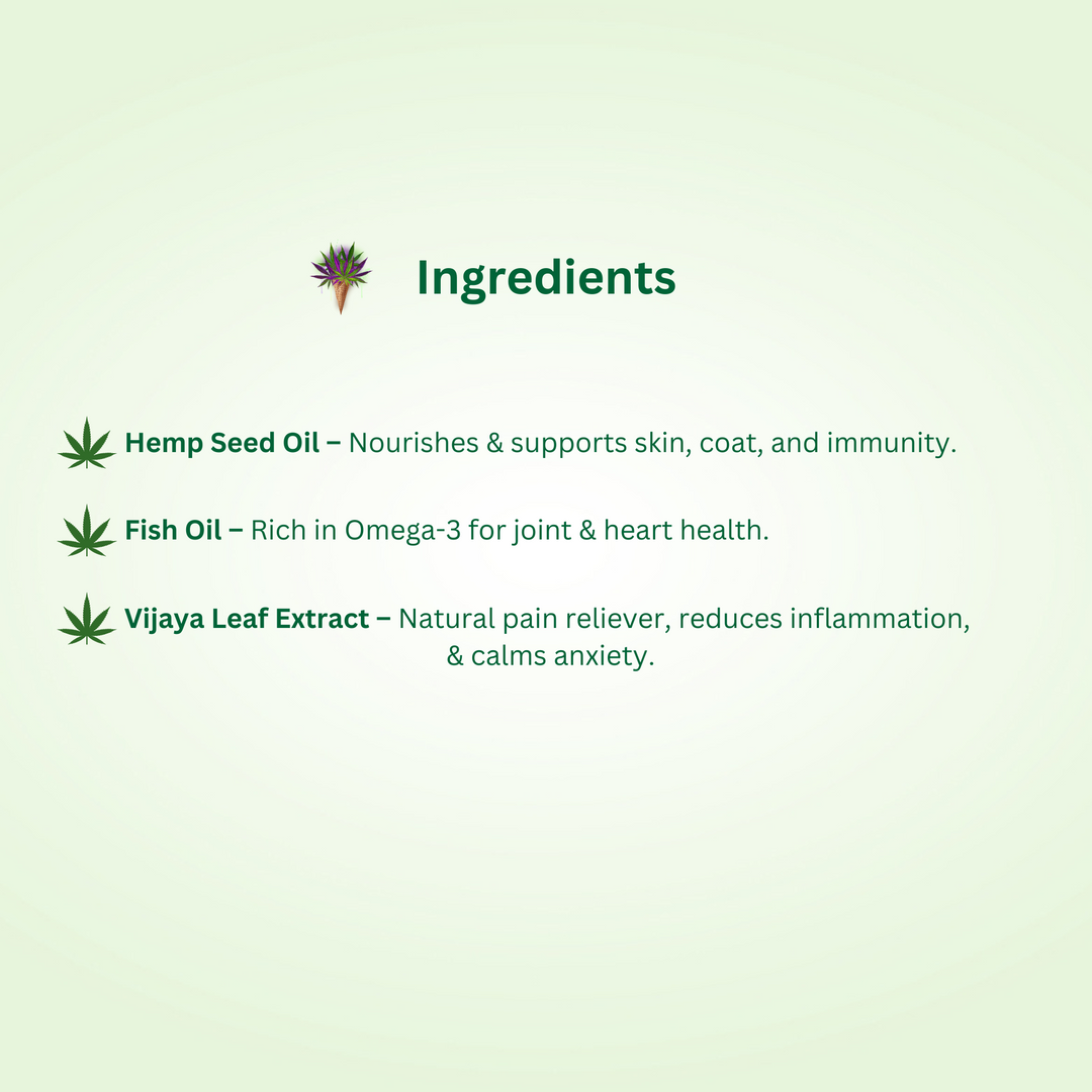 Vijaya Extract Tincture for Pets- 30ml